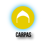 RENTA DE CARPAS GIGANTES