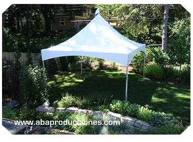 RENTA DE CARPAS PARA EVENTOS-RENTA DE CARPAS ECONOMICAS EN EL DF